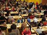 ChessOrg Bild